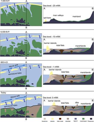 Impact of a submerged stream groyne on morphology and sedimentology on a tidal inlet, Harle (Southern North Sea, Germany)